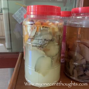 Fermenting Eco-enzyme