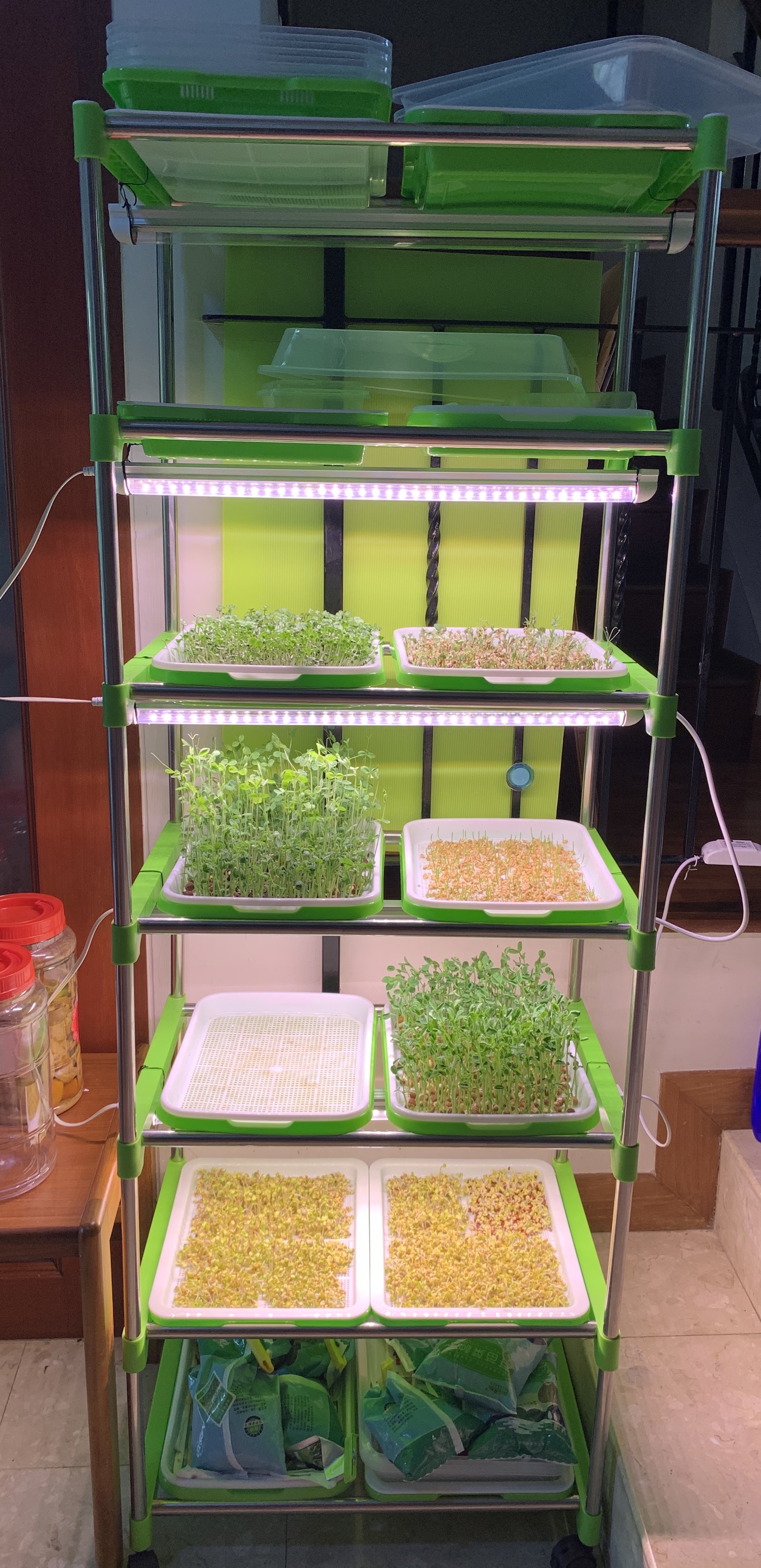 Microgreen setup